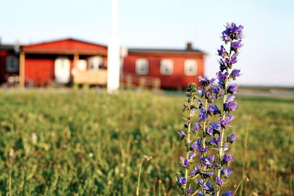 Stf Bunge Hostel Faroesund Exterior photo